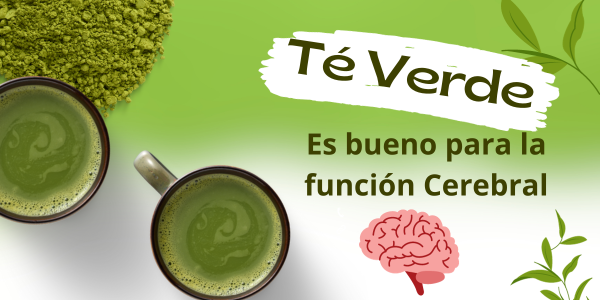 Los efectos del té verde sobre la señalización cerebral